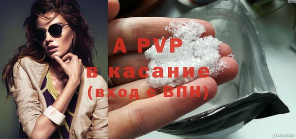 СК Алексин